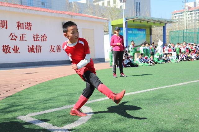 中超球会亚冠主场运势扭转 如何晋级尚待观察